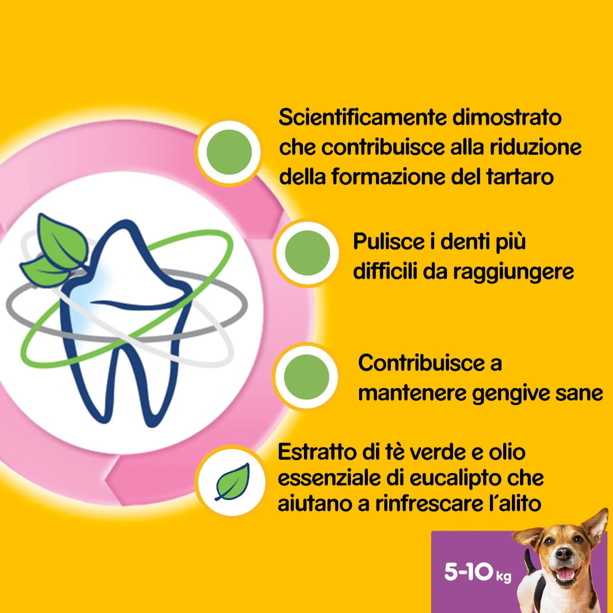 Pedigree Dentastix Fresh Multipack Small 35PZ Pedigree Dentastix Fresh Multipack Small 35PZ